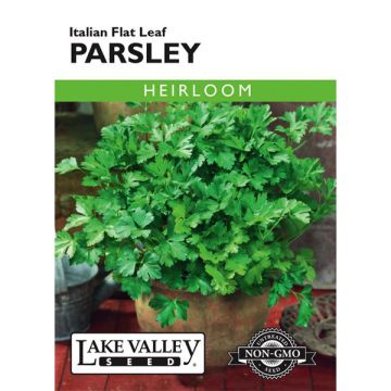 Petroselinum, Italian Flat Leaf Parsley, 1g