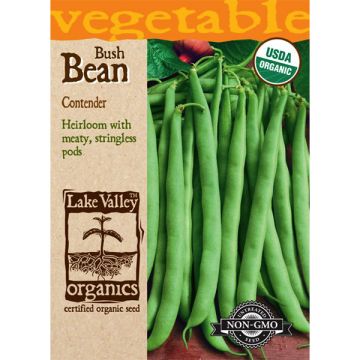 Phaseolus, Bean (Bush), Contender, 15g
