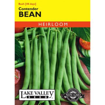 Phaseolus, Bean (Bush), Contender, 20g