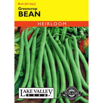 Phaseolus, Bean (Bush), Greencrop, 20g