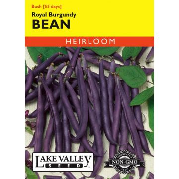 Phaseolus, Bean (Bush), Royal Burgundy, 20g