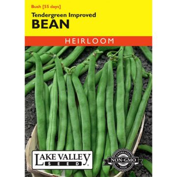 Phaseolus, Bean (Bush), Tendergreen Improved, 20g