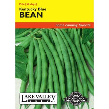 Phaseolus, Bean (Pole), Kentucky Blue, 20g