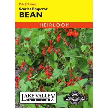 Phaseolus, Bean (Pole), Scarlet Emperor, 15g