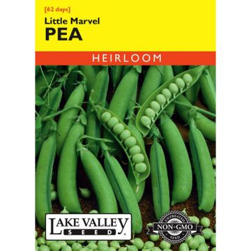 Pisum, Pea (Bush), Little Marvel, 20g
