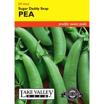 Pisum, Pea (Bush), Sugar Daddy Snap Pea, 20g