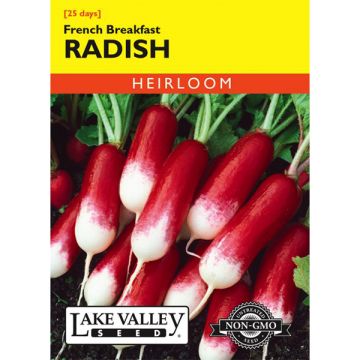 Raphanus, Radish, French Breakfast Radish, 4g