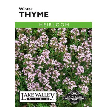 Thymus, Winter Thyme, 0.2g