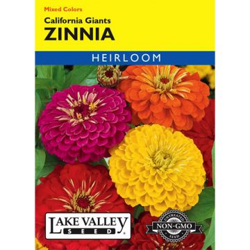 Zinnia, California Giants Zinnia, 0.75g