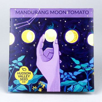 Solanum, Tomato (Pole), Mandurang Moon Tomato ~ 25 seeds