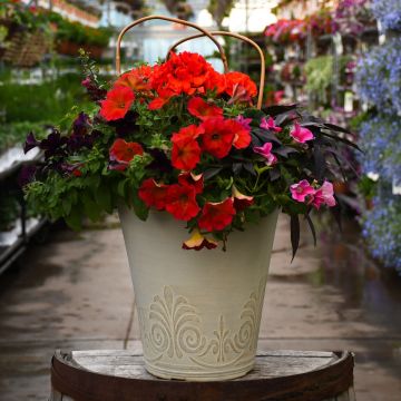 'Flamethrower' Mini Patio Planter