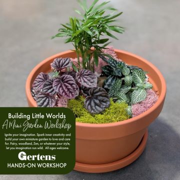 Building Little Worlds | Sunday March 22nd at 1pm
