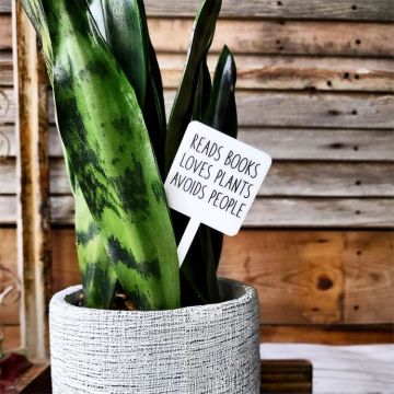 Mad River Snarky Plant Marker Stake - Reads Books Avoids People