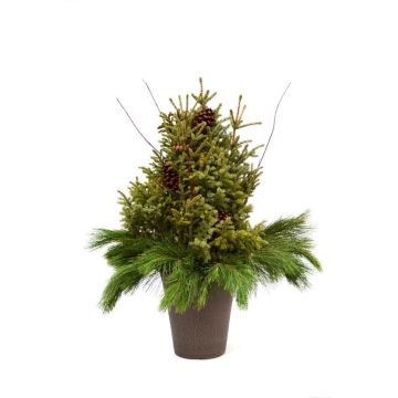 'Northwoods' Spruce Tip Container