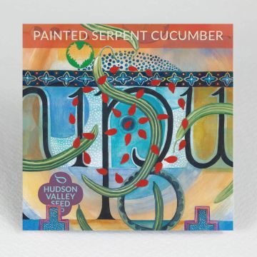 Cucumis, Cucumber 'Painted Serpent' ~ 25 seeds