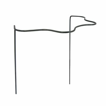 Peacock Scalloped Plant Cradle