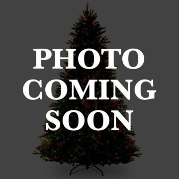 Gabriel Lights® LED C6 Warm White Steady White Cord 70L/34.5FT