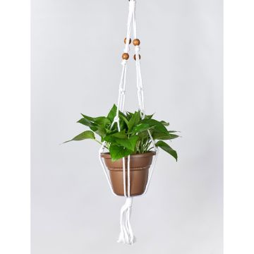 Plant Hanger, Cotton Beaded, Multiple Sizes