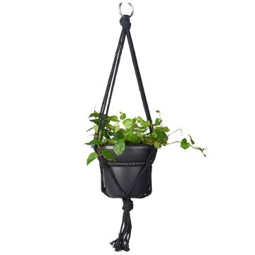 Plant Hanger, Cotton Mini Hanger, Multiple Colors, 18"