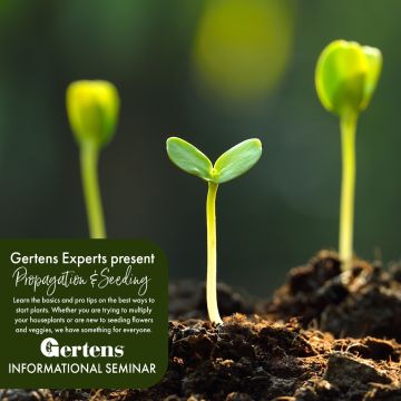 Propagation & Seeding | Sunday February 22nd at 1pm