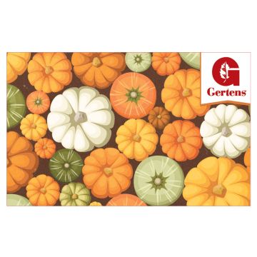 Pumpkin - Gift Card