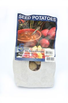 Potato, Seed Potatoes, Dark Red Norland