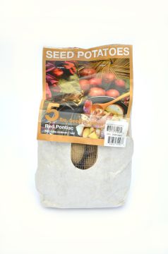 Potato, Seed Potatoes, Red Pontiac