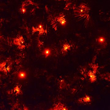 Gabriel Lights® LED 5mm Wide Angle Red String Lights