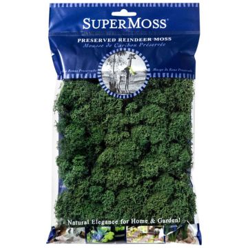 Reindeer Moss, Forest, 2 oz.