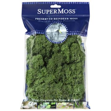 Reindeer Moss, Basil, 2 oz.