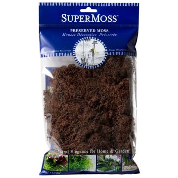 Reindeer Moss, Brown, 2 oz.