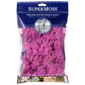 Reindeer Moss, Pink, 2 oz.