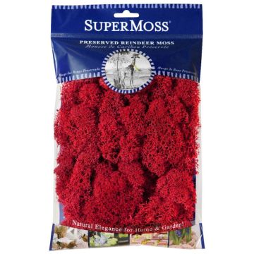 Reindeer Moss, Red, 2 oz.