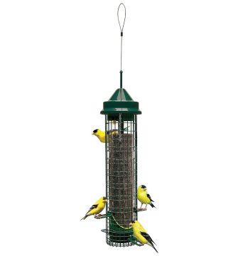 Squirrel Buster Finch Feeder