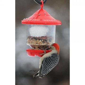 Songbird Essentials™ Clingers Only Red