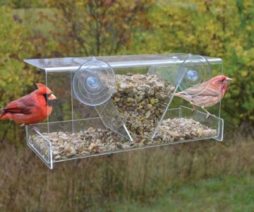 Songbird Essentials Clear View Deluxe Hopper Window Feeder