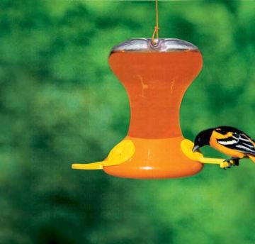 Songbird Essentials™ Oriole Feeder Fliteline Junior 30 oz