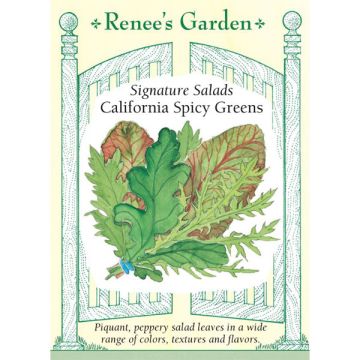 Mix, Greens, California Spicy Greens ~ 1500 seeds