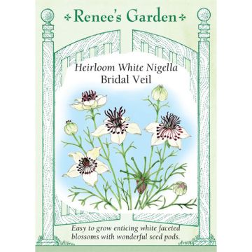 Nigella, Love in a Mist, White Bridal Veil ~ 175 seeds