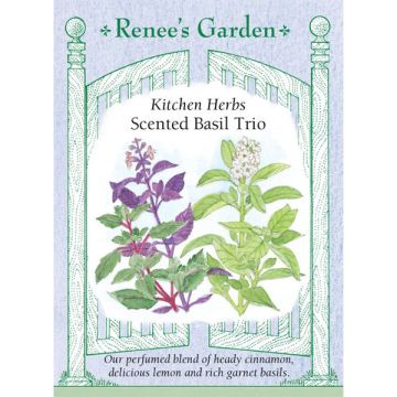 Ocimum, Basil Mix, Scented Basil Trio ~ 500 seeds