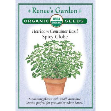 Ocimum, Basil, Spicy Globe ~ 400 seeds