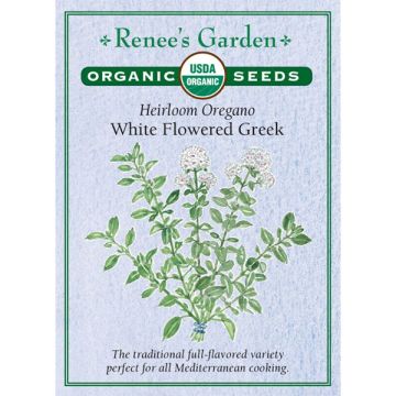 Origanum, Oregano, White Flowered Greek ~ 2025 seeds