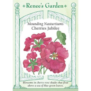 Tropaeolum, Mounding Nasturtium, Cherries Jubilee ~ 20 seeds