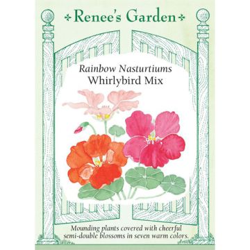 Tropaeolum, Mounding Nasturtium, Whirlybird Mix ~ 30 seeds