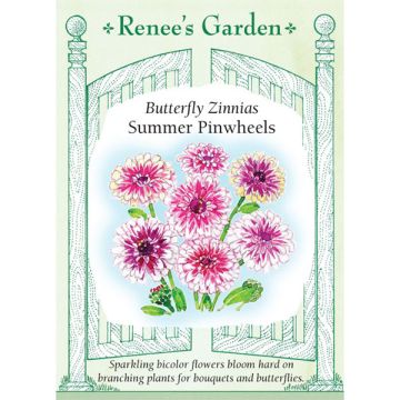 Zinnia, Summer Pinwheels ~ 100 seeds