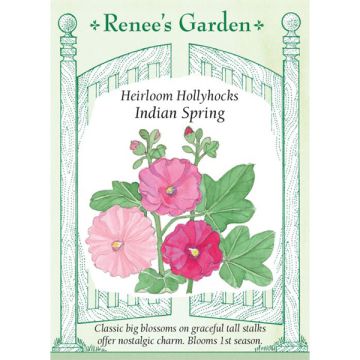 Alcea, Hollyhock, Indian Spring ~ 100 seeds