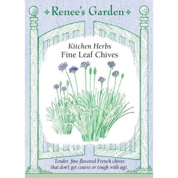 Allium, Chives, Fine Leaf Chives ~ 750 seeds