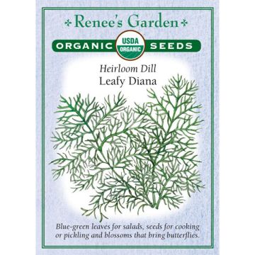 Anethum, Dill, Leafy Diana, ~ 1323 seeds
