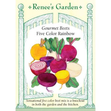 Beta, Beet Mix, Five Color Rainbow ~ 280 seeds