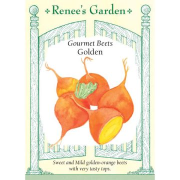 Beta, Beet, Golden ~ 100 seeds